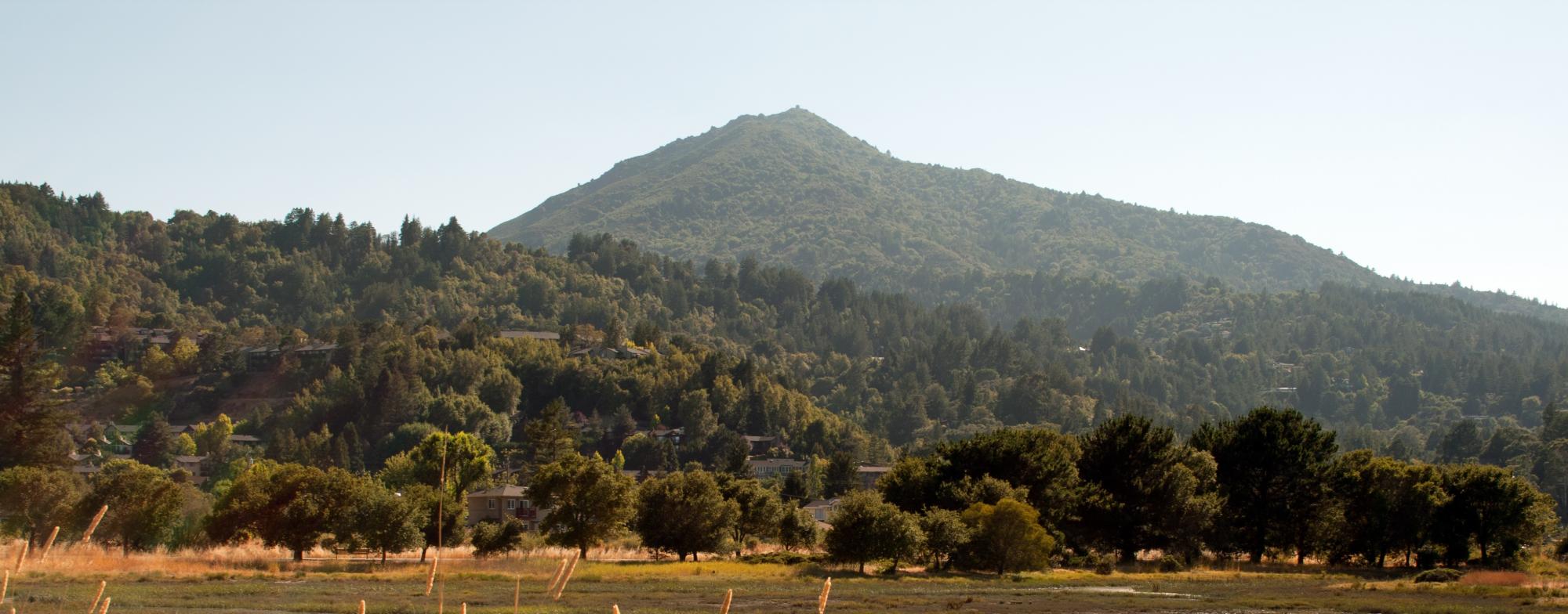 Mount Tam