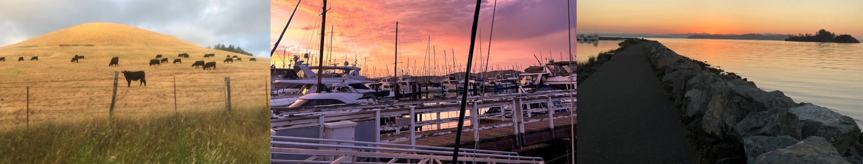 Three images - on the left a landscape with cows on brown hill, in the middle boats on a dock, and on the right a path and sunset.