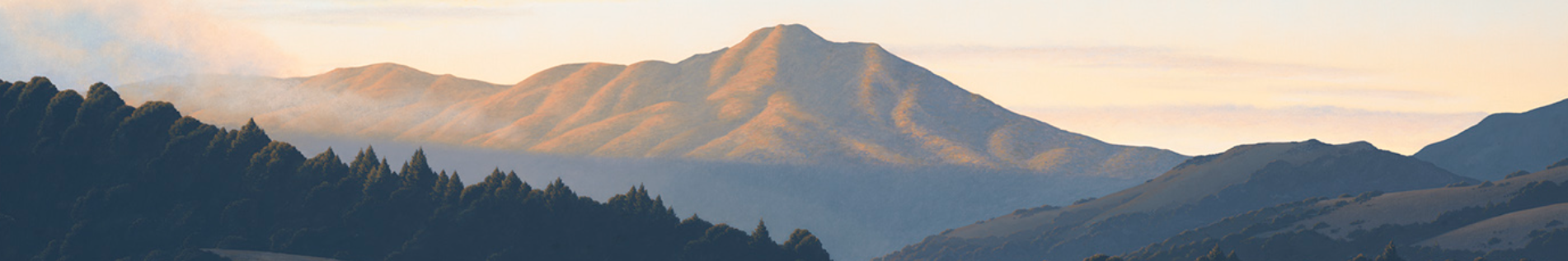 Mount Tamalpais landscape illustration.