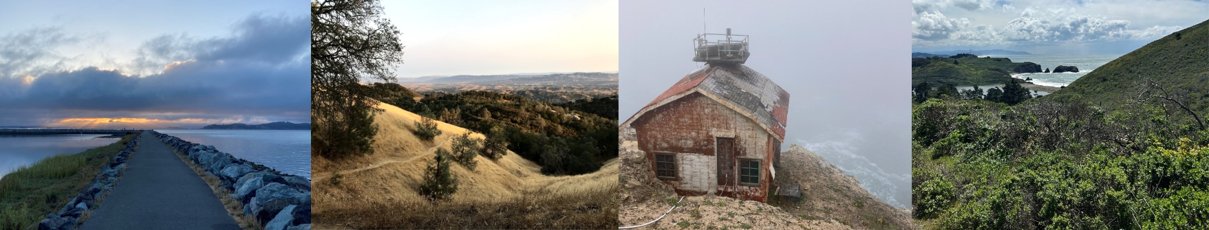 Four images of nature and one of an old lighthouse. 
