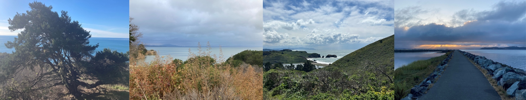 Four pictures of nature with trees, hills, and views of the ocean.