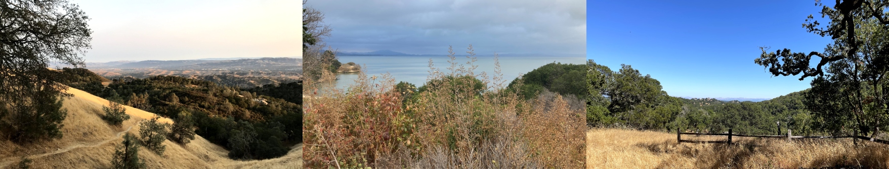 Three images - on the left a brown hills with trees, in the middle grass with the ocean in front, and on the right a blue sky with brown grass and a tree.