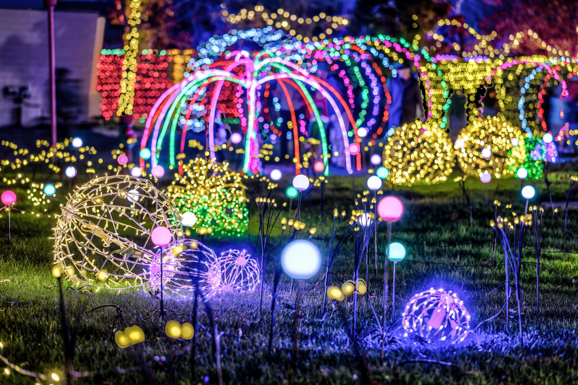 Light sculptures, displays and trees