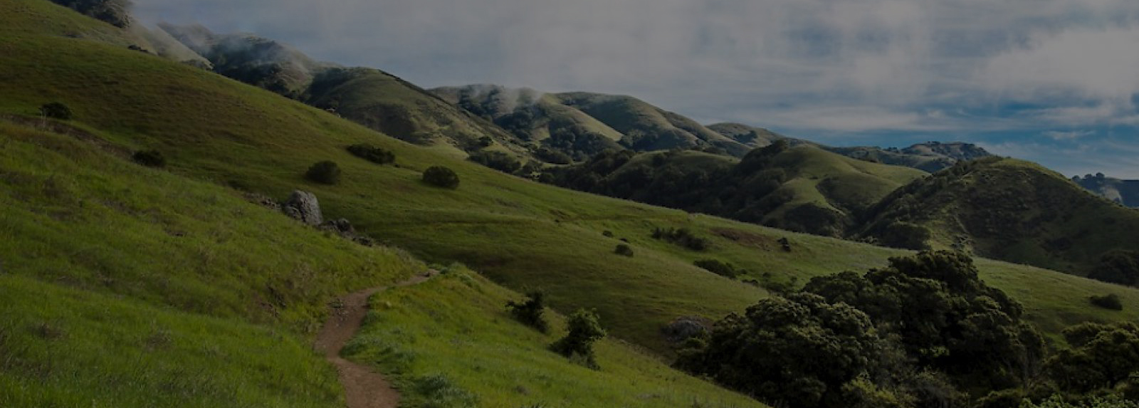 Rolling green hills of Marin County under a cloudy sky.