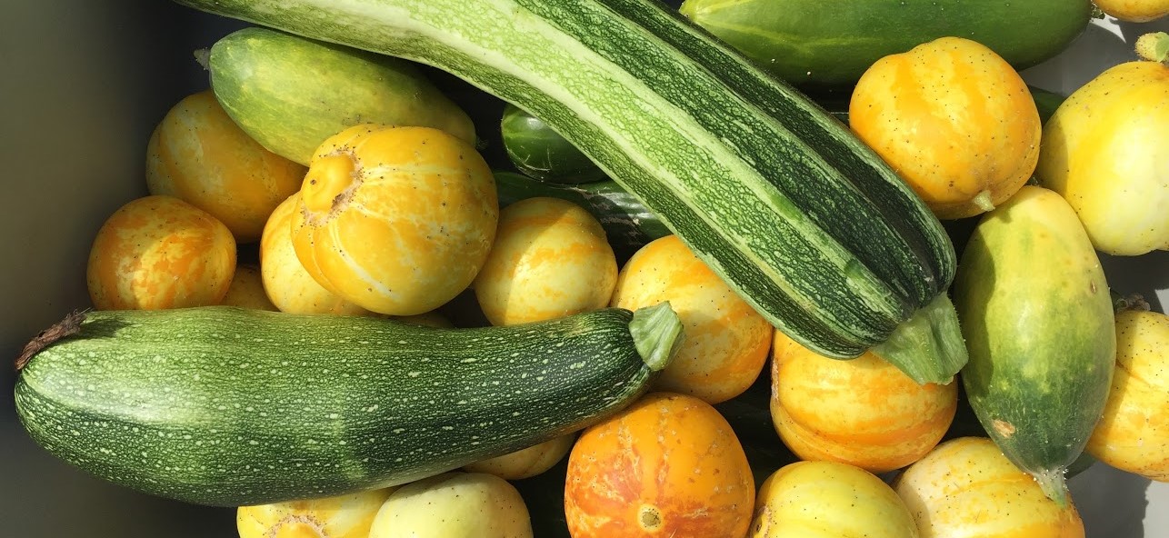A closeup view of vegetables in a box.