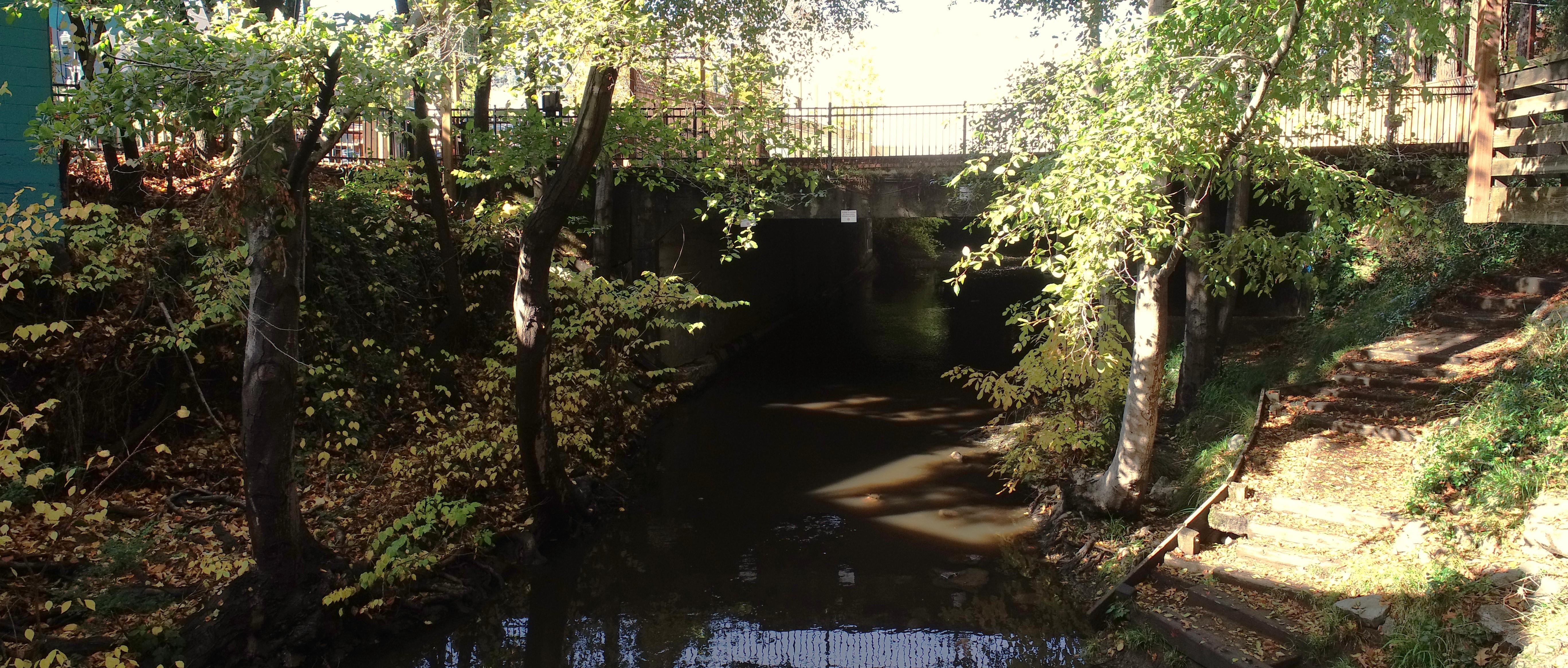 A view of Corte Madera Creek where it flows under a footbridge in San Anselmo.
