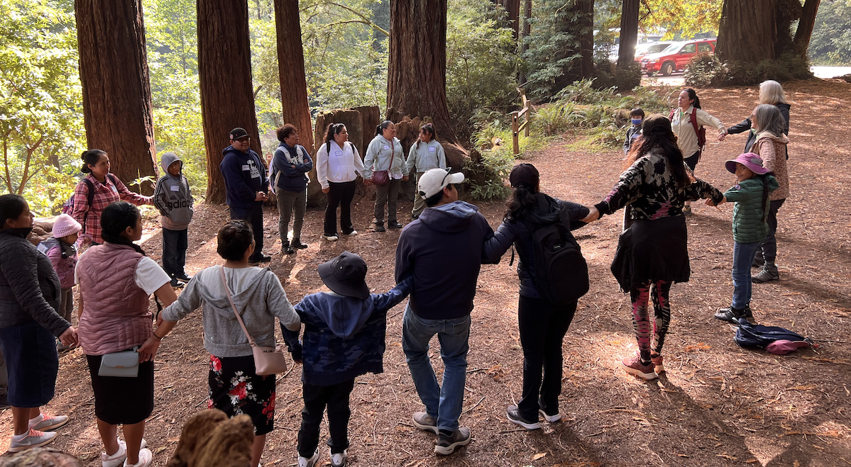 Children hold hands in a circle among redwood trees during an educational session.