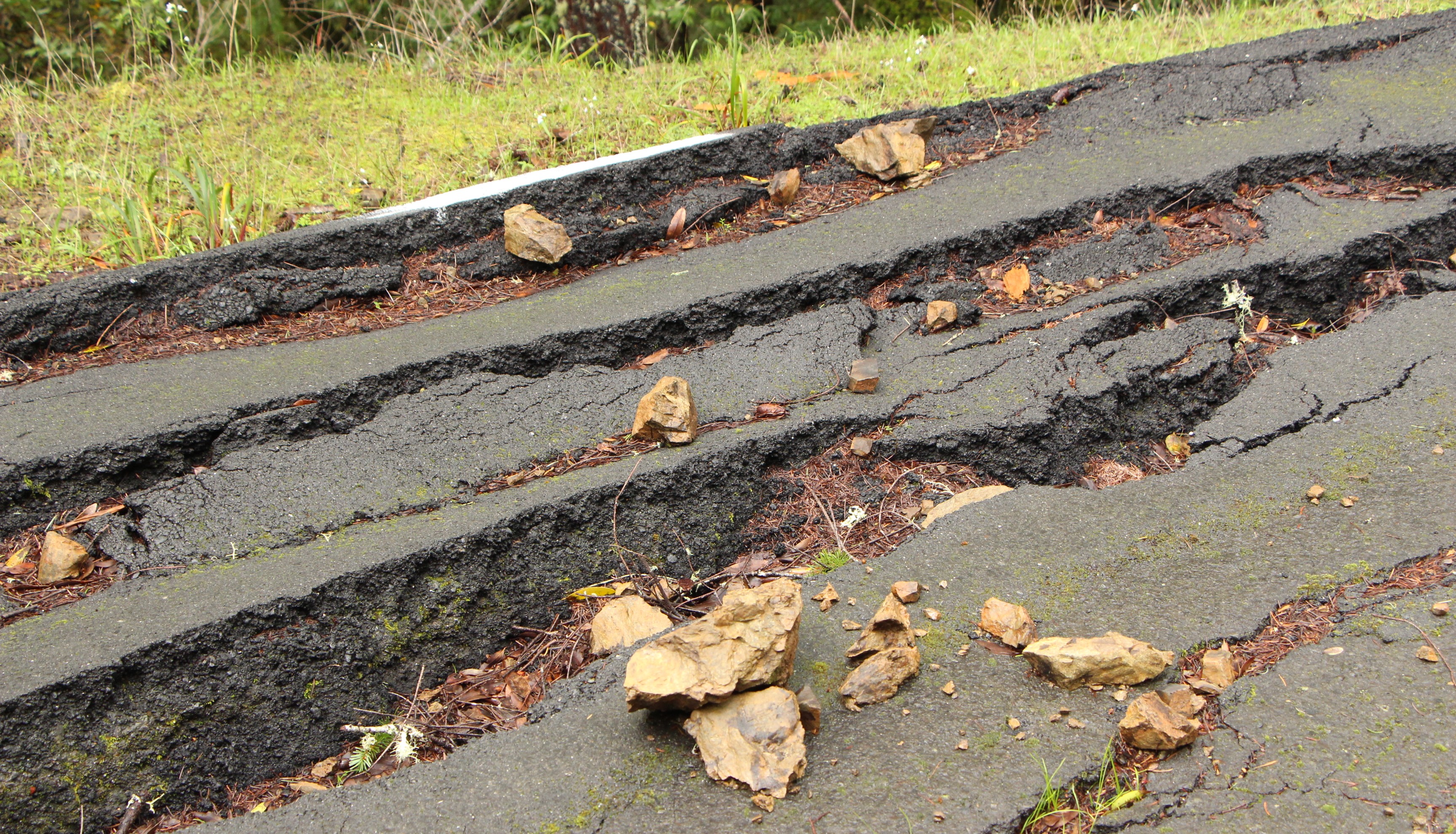 A closeup view of deteriorated pavement on Bolinas Road.