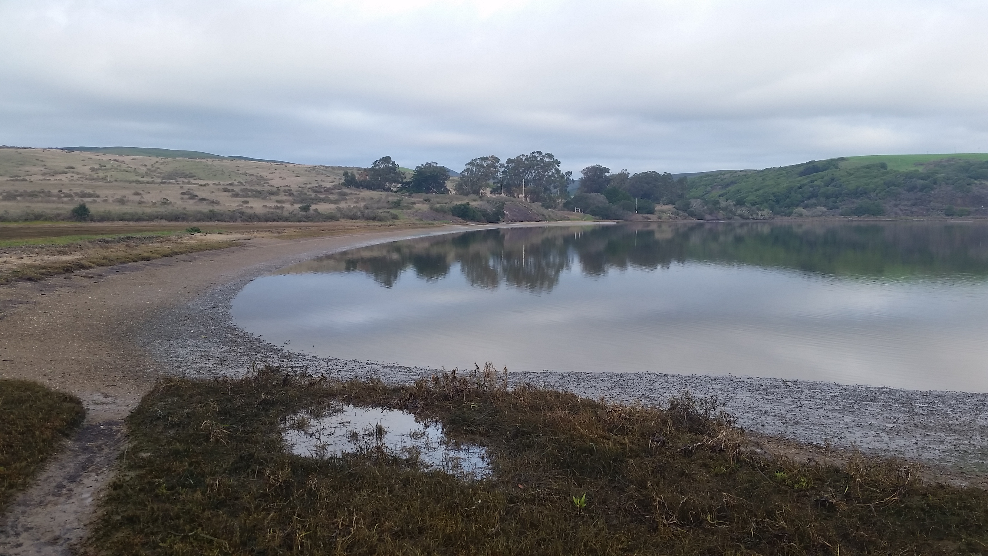 Millerton beach water sampling location Marin County.