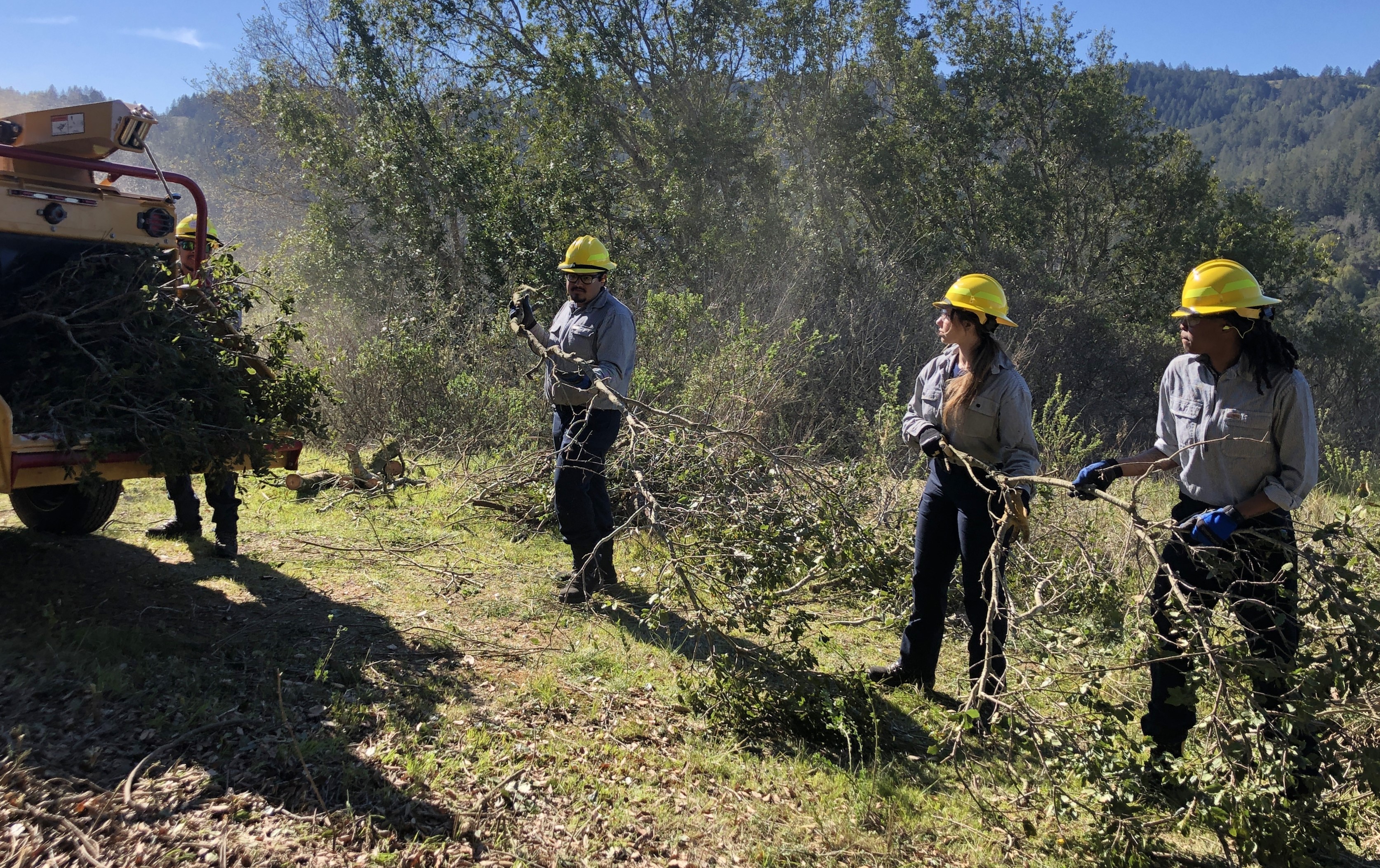 Four FIRE Foundry workers place brush into piles.