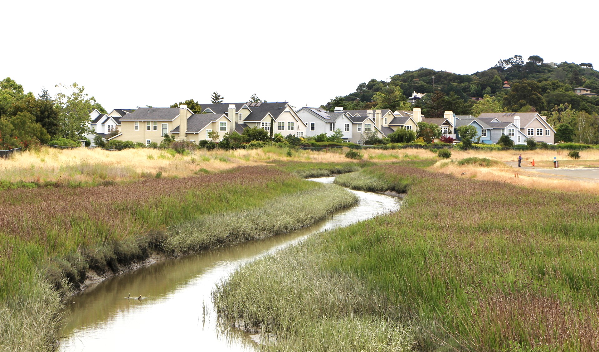 Houses are shown on the Santa Venetia marshlands.