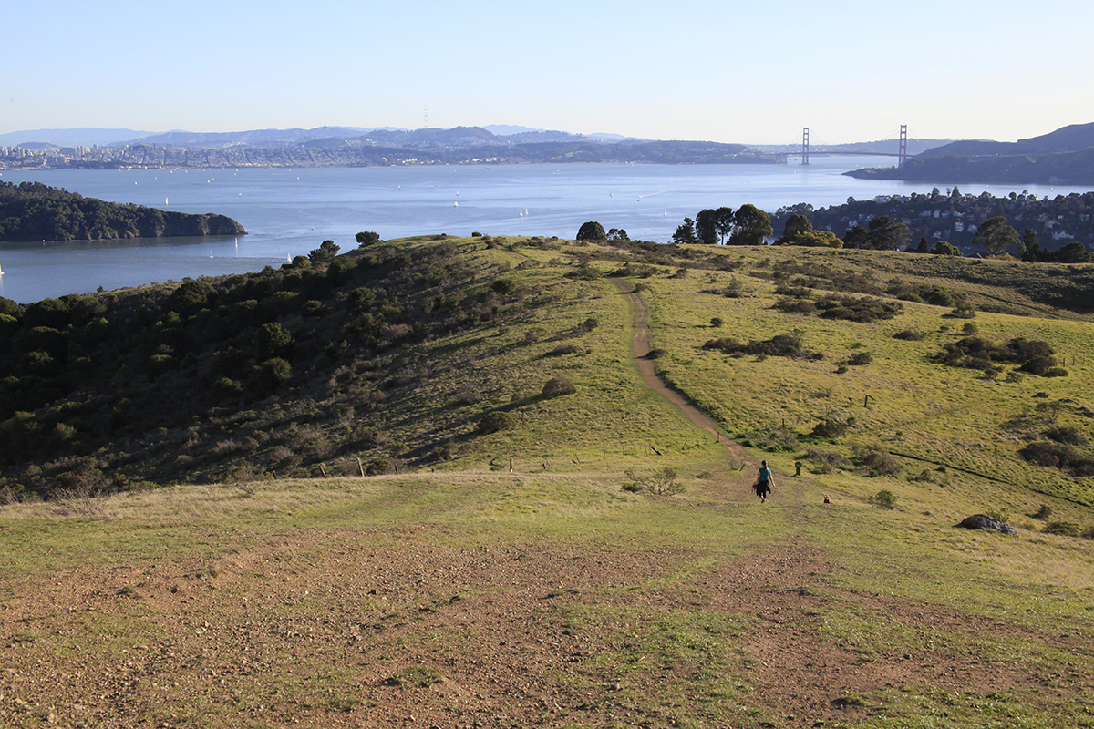A hilltop view of the Easton Point property, also known as Martha Property.