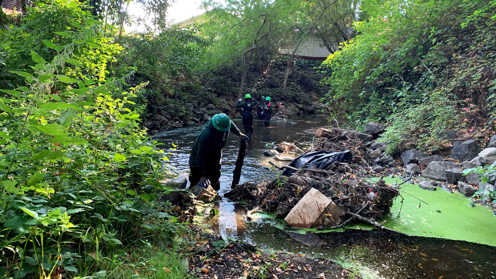 North Bay Conservation Corps Crew assist DPW staff with debris clearing in Novato Creek