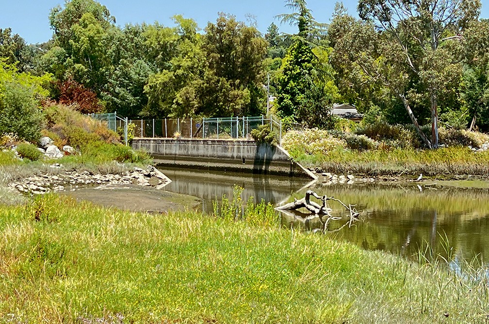 Concrete channel section of Corte Madera Creek near College of Marin in Kentfield.