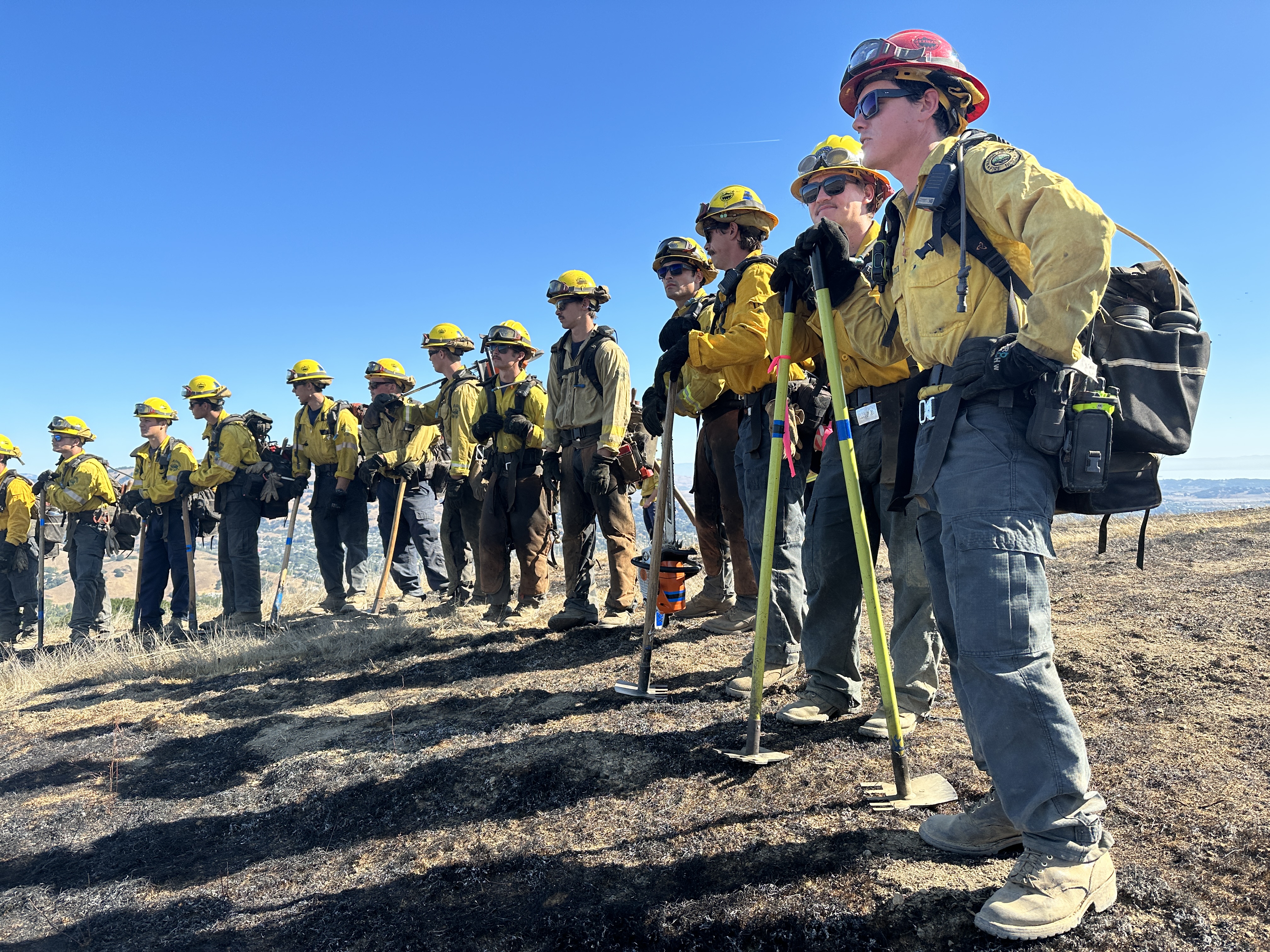 About 20 firefighters in uniform stand ready to begin a prescribed burn operation.