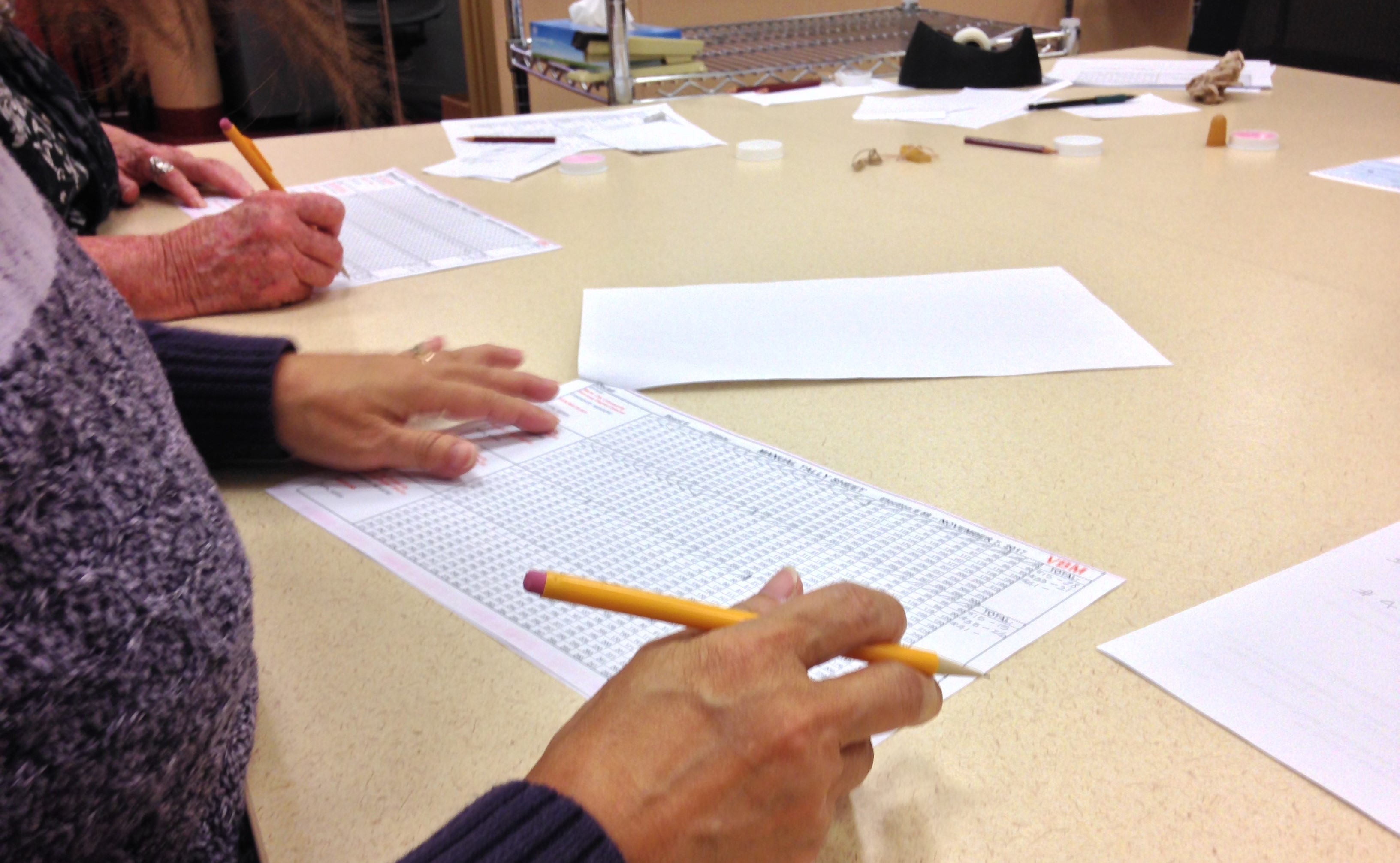 Closeup of a person's hands as they participate in the manual tally.
