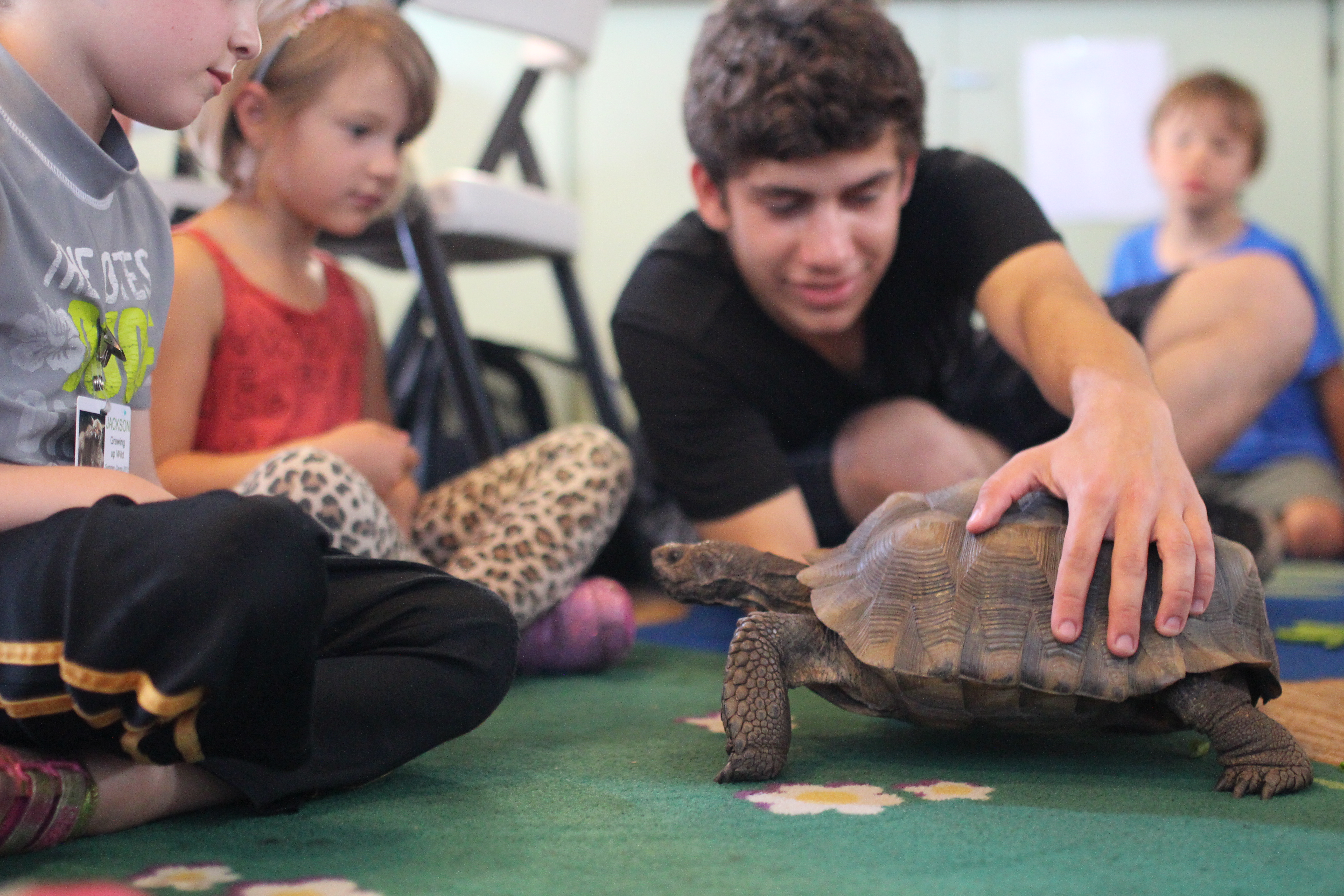 A teen holds a tortoise as younger kids take a look.