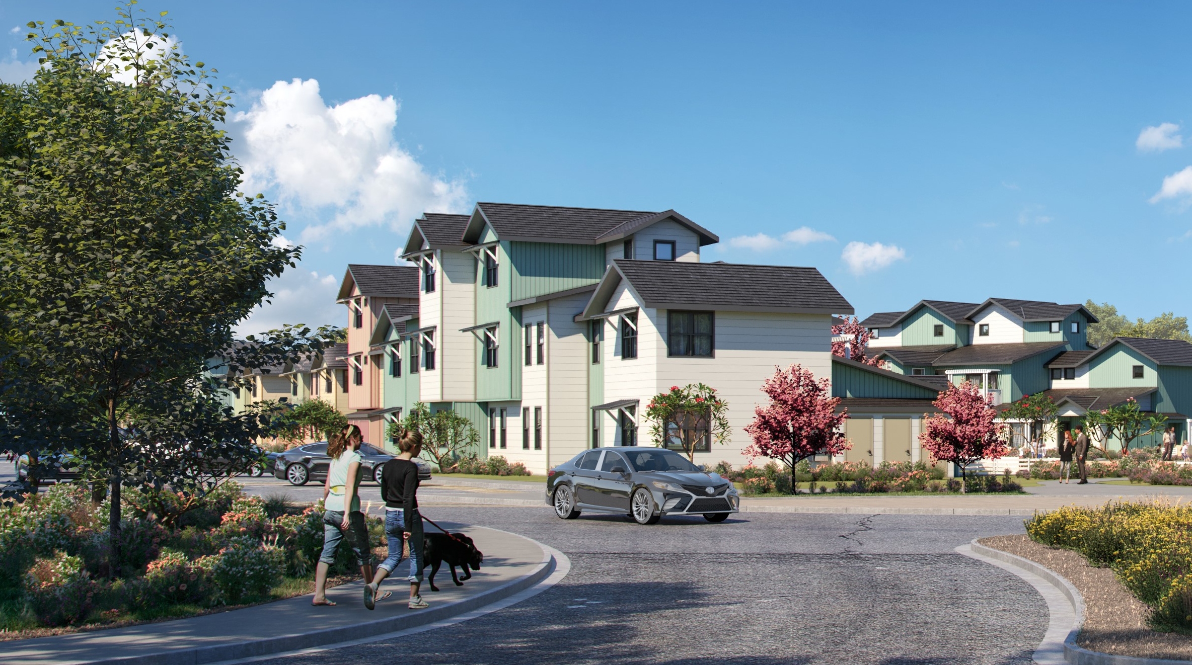 An archictecural rendering of the homes in the Habitat for Humanity community in Novato.