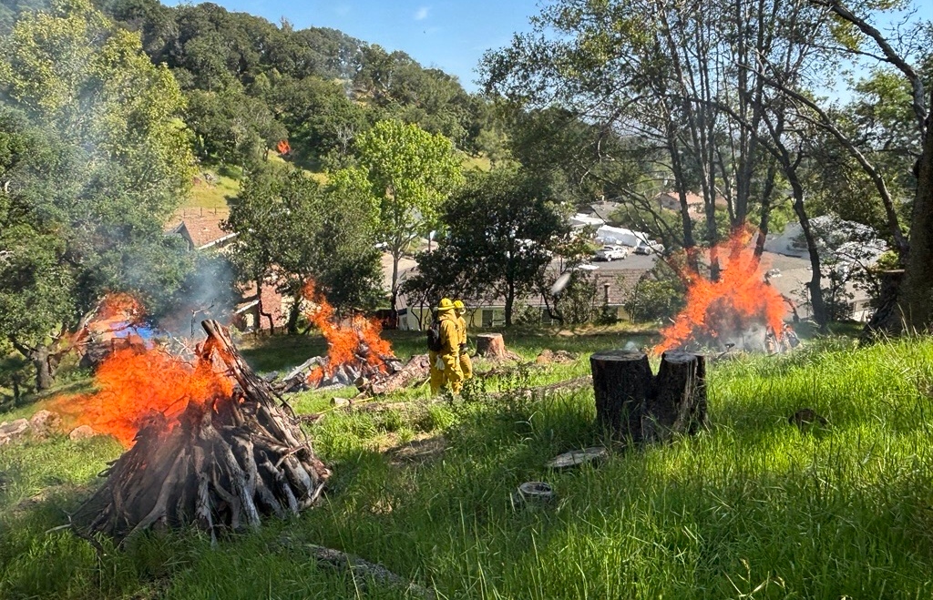 Piles of debris burn on a piece of property with the oversight of firefighters.