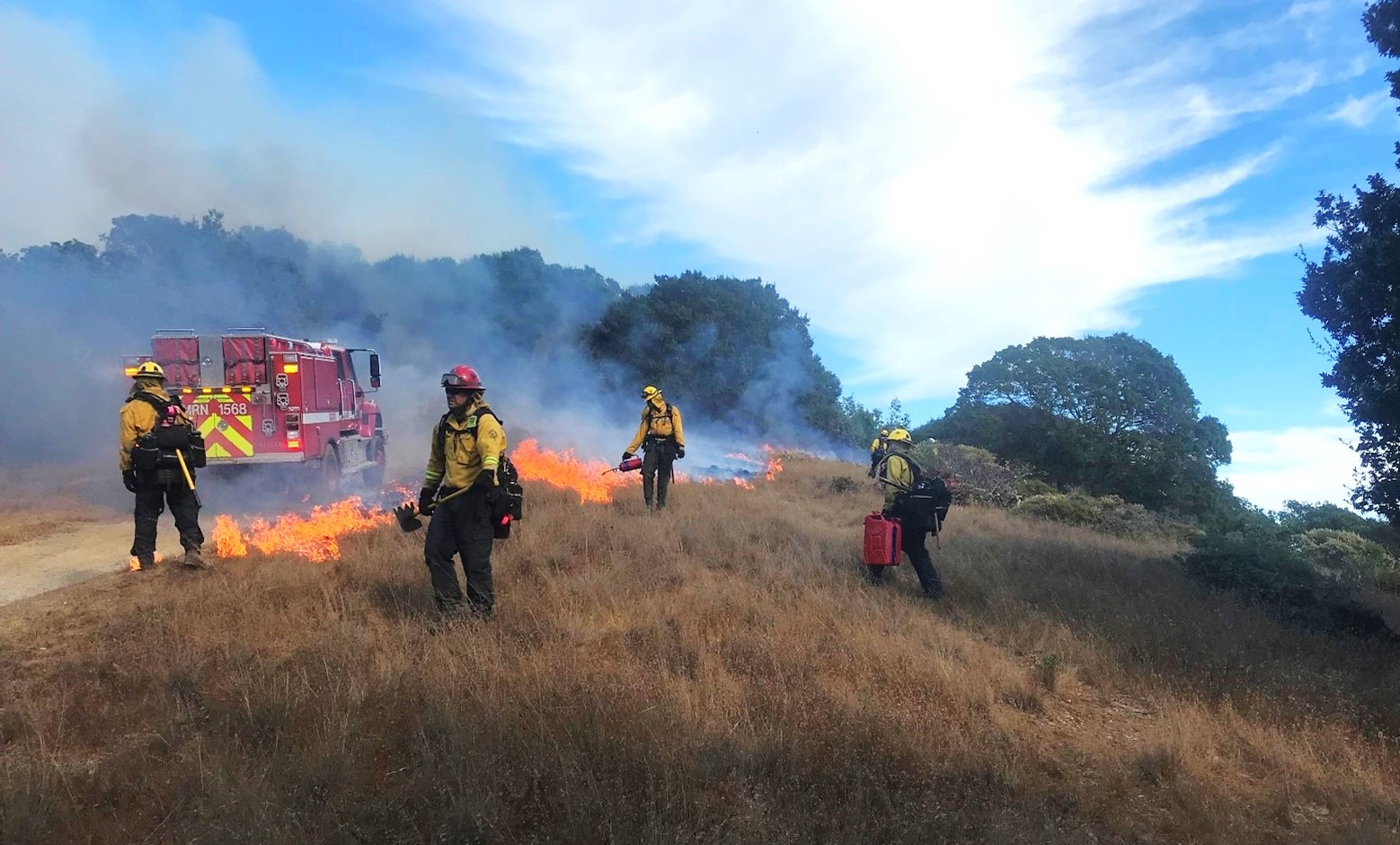 Firefighters putting out fire during a prescribed burn