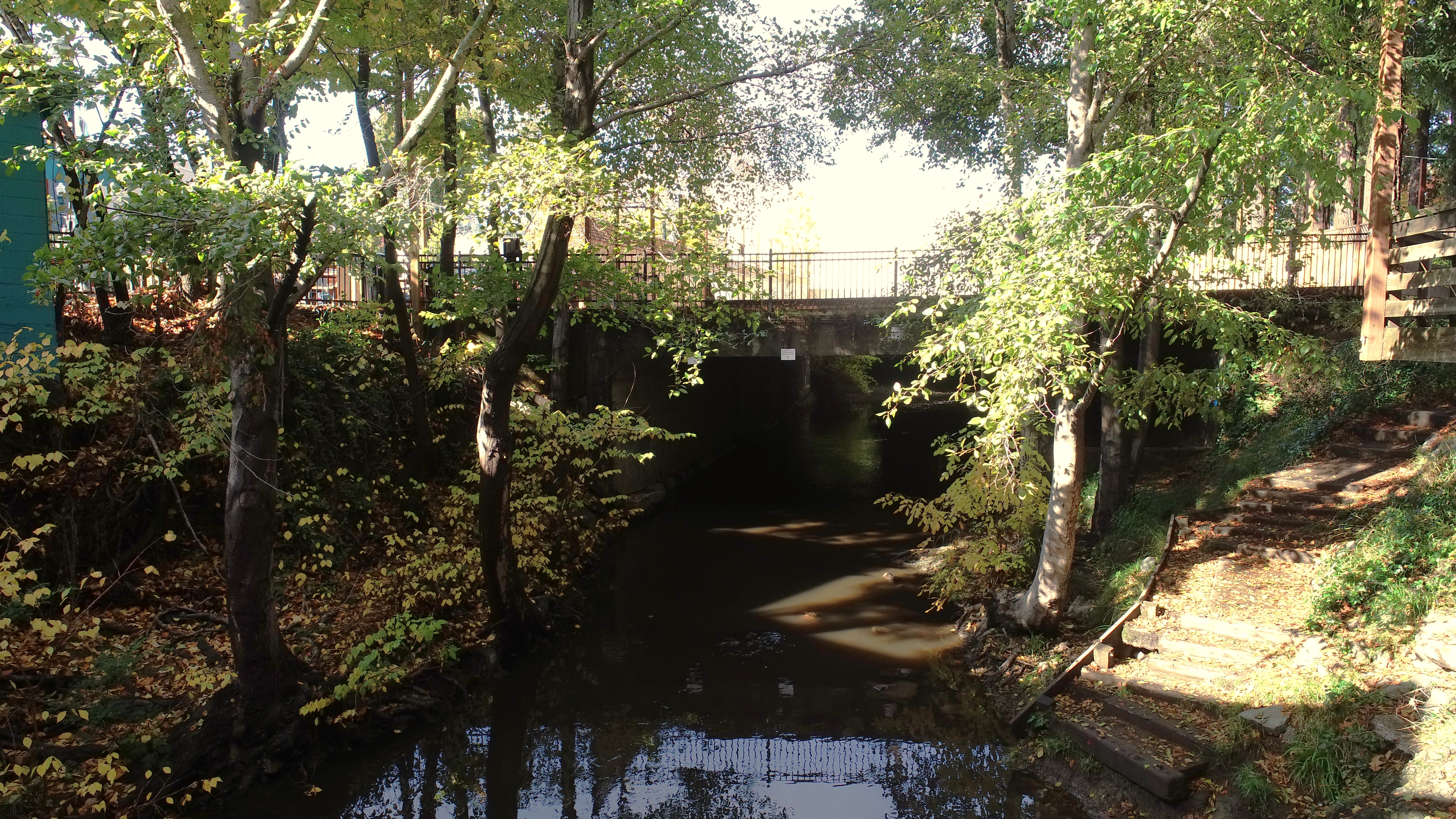 San Anslemo Creek