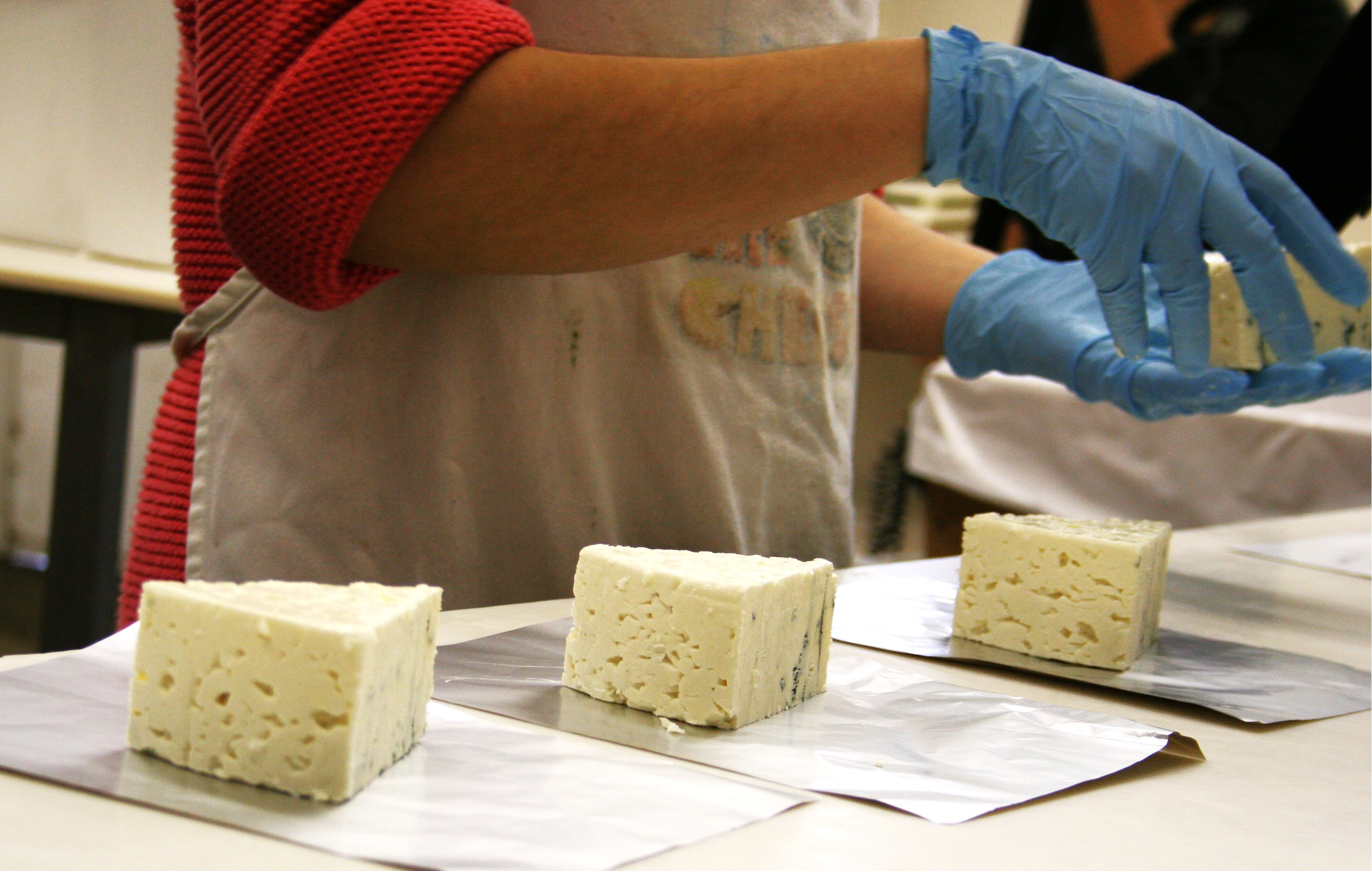 A person's hands are shown working with chunks of cheese at a dairy.