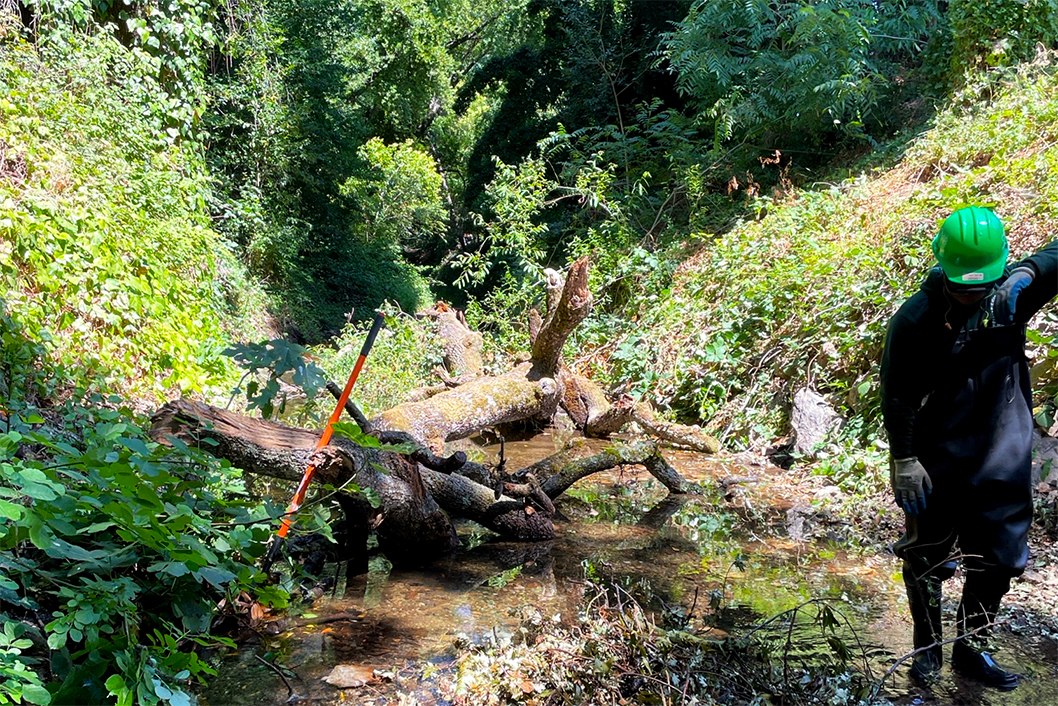 A worker drags debris from a creek.