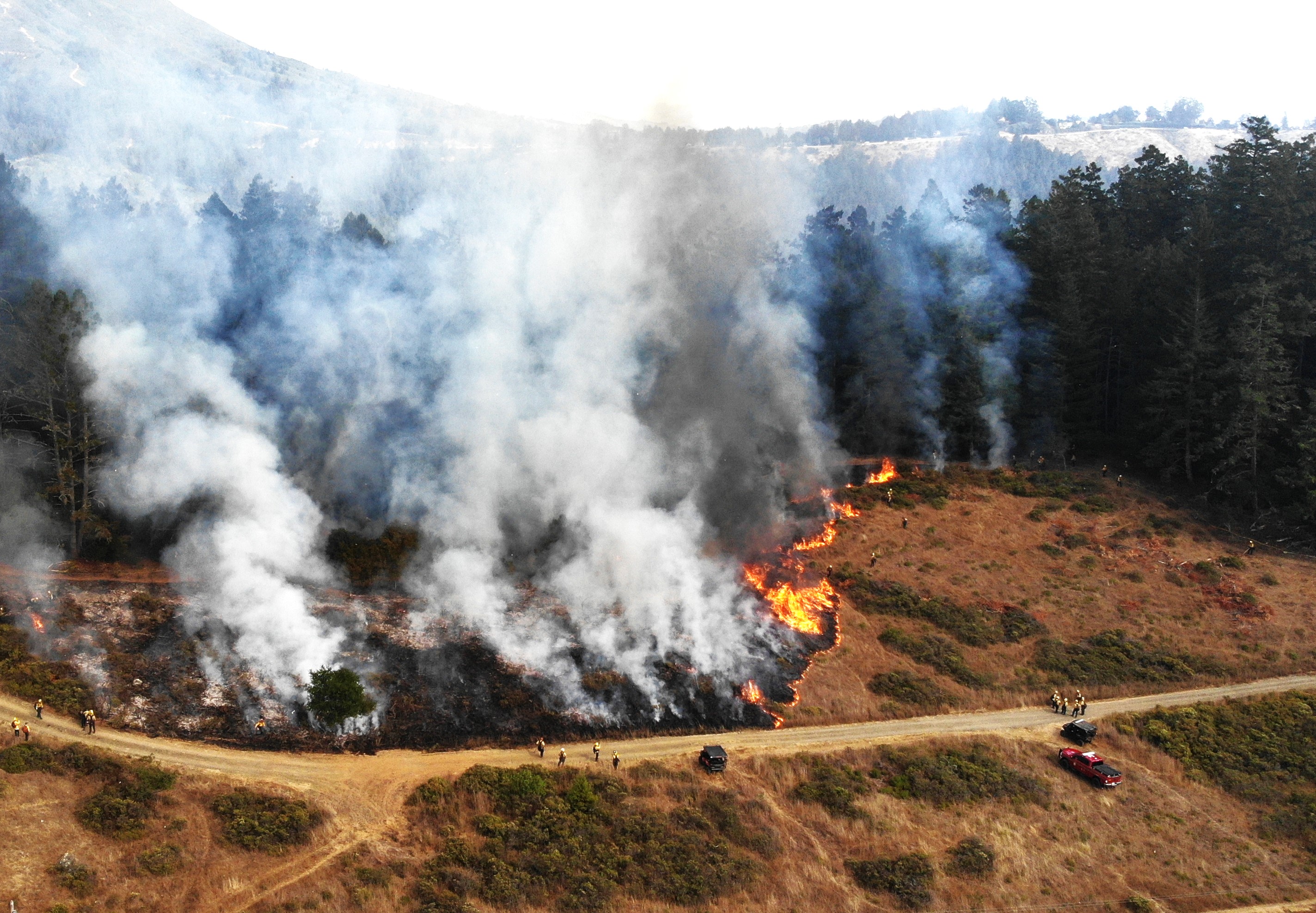 An overhead view of firefighters working a prescribed burn on a hillside.