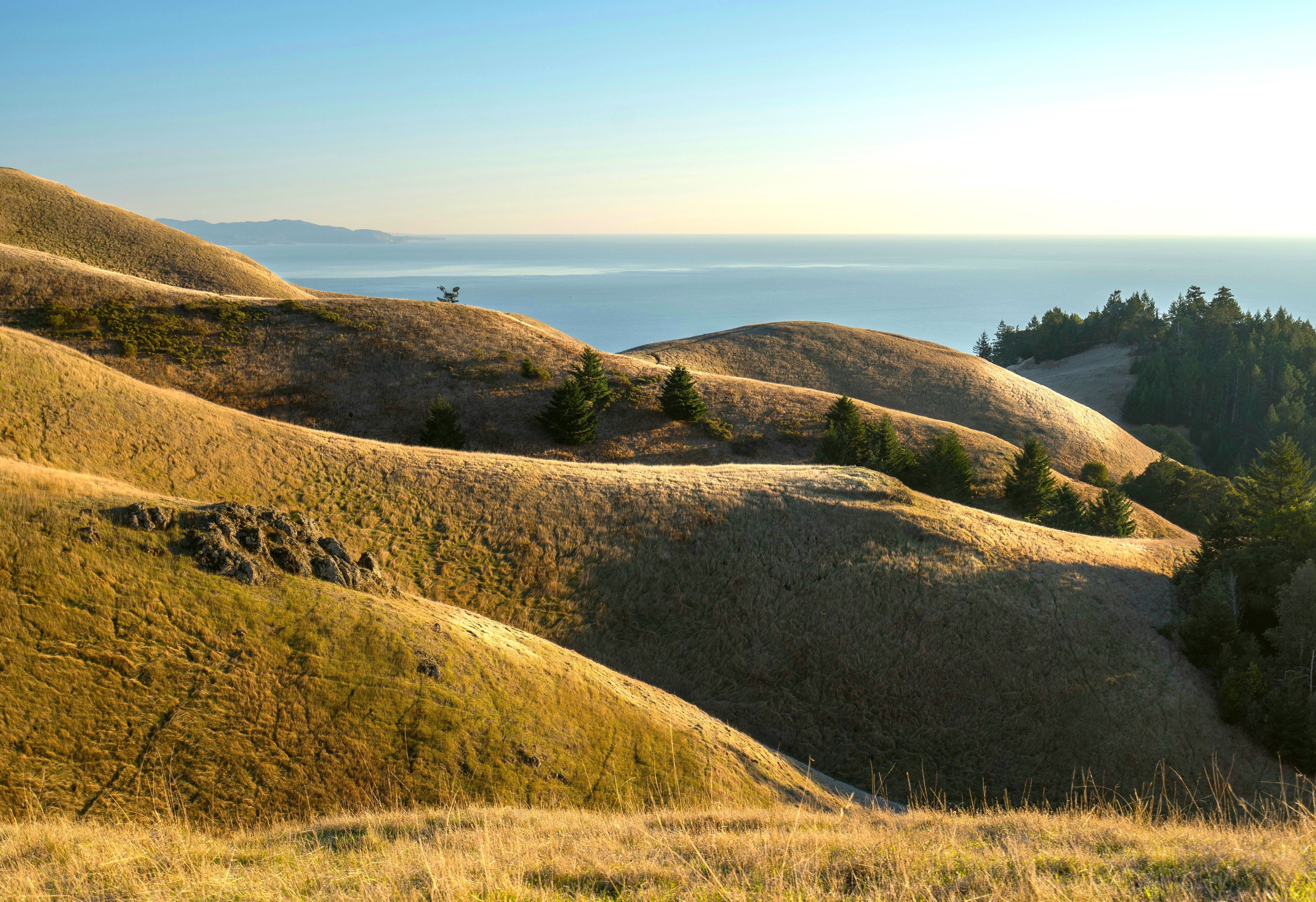 Hilltop view of the West Marin hills and the Pacific Ocean.