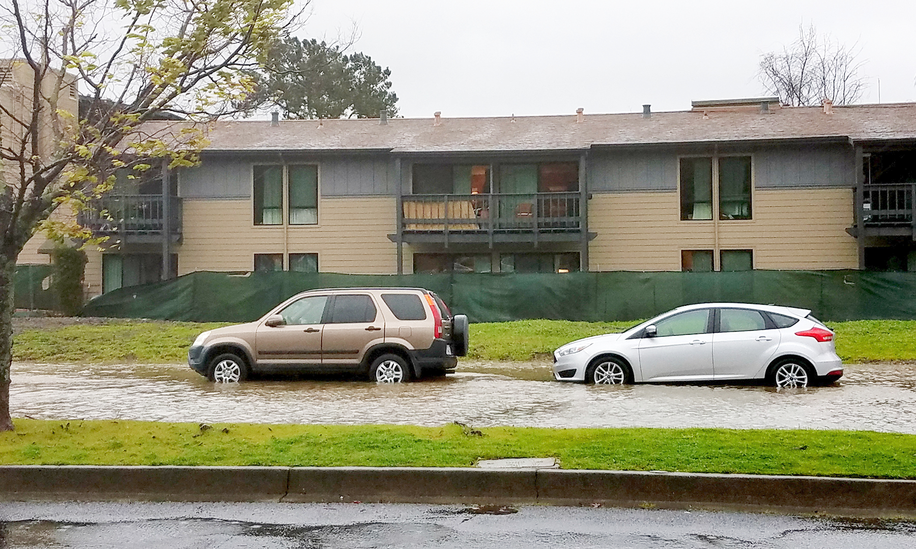 Parked cars sit in several inches of water outside an apartment building during a king tide surge.