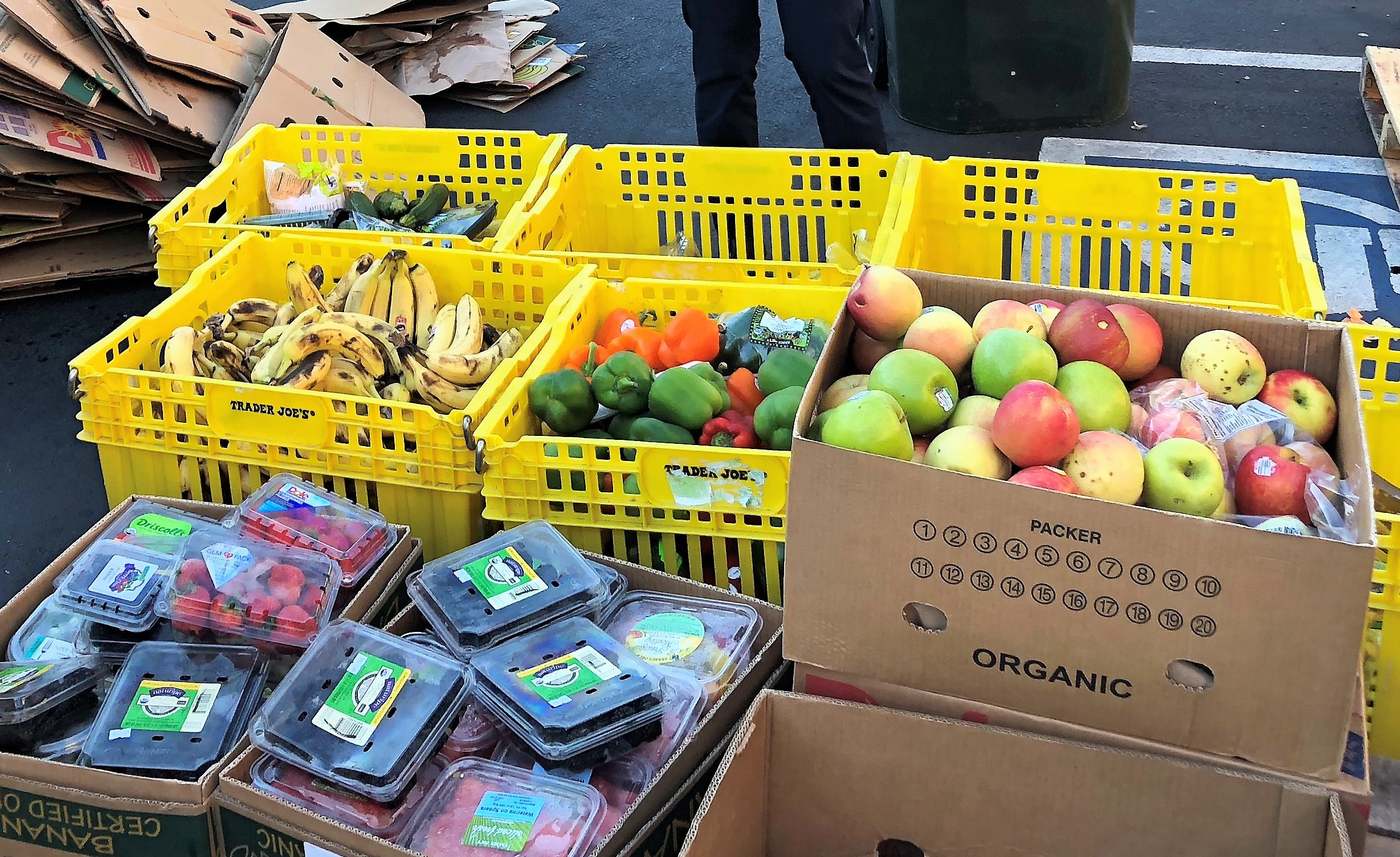 A closeup view of crates with fresh food sitting in the parking lot of a food bank.