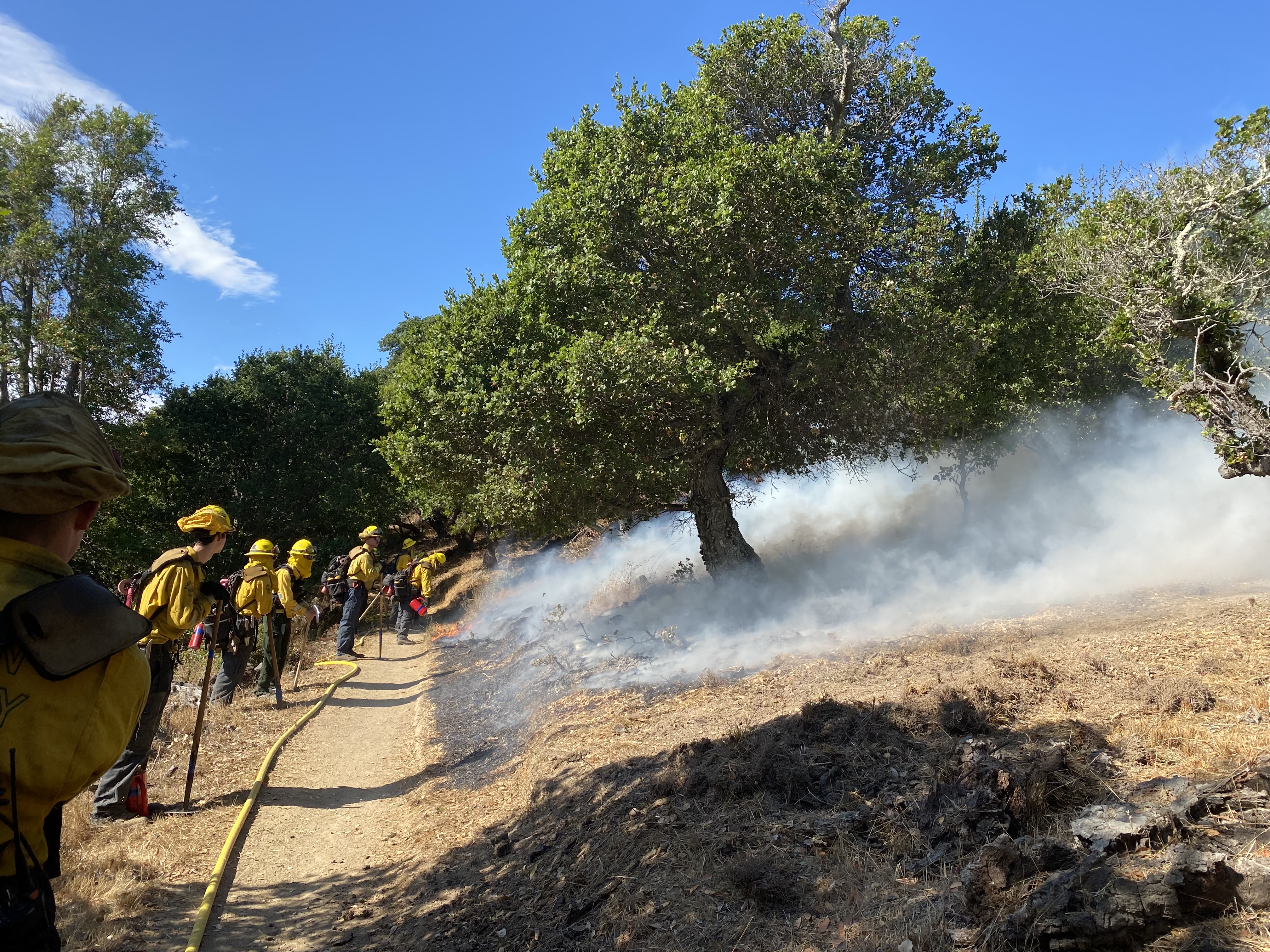 Safe burning of dead and dry vegetation by landowners is a crucial tool in reducing fire hazards. 