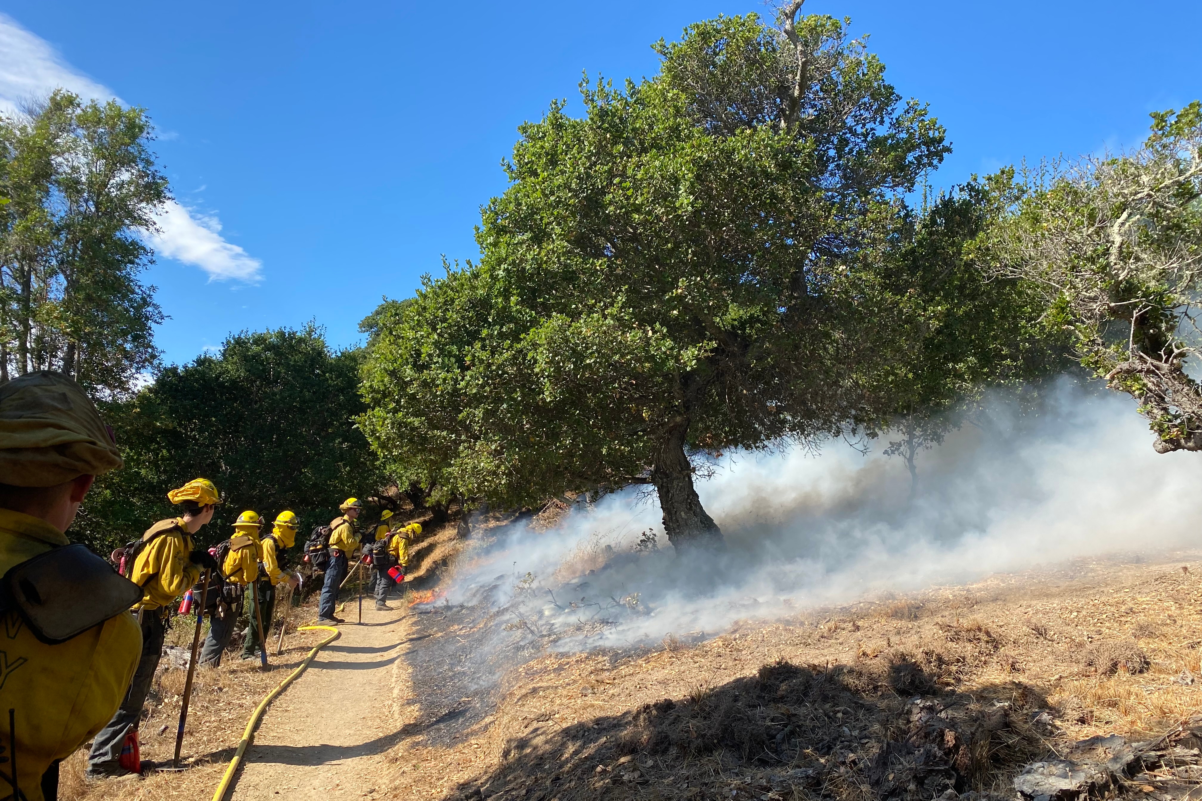 About 20 firefighters monitor a prescribed burn on Mount Tamalpais.
