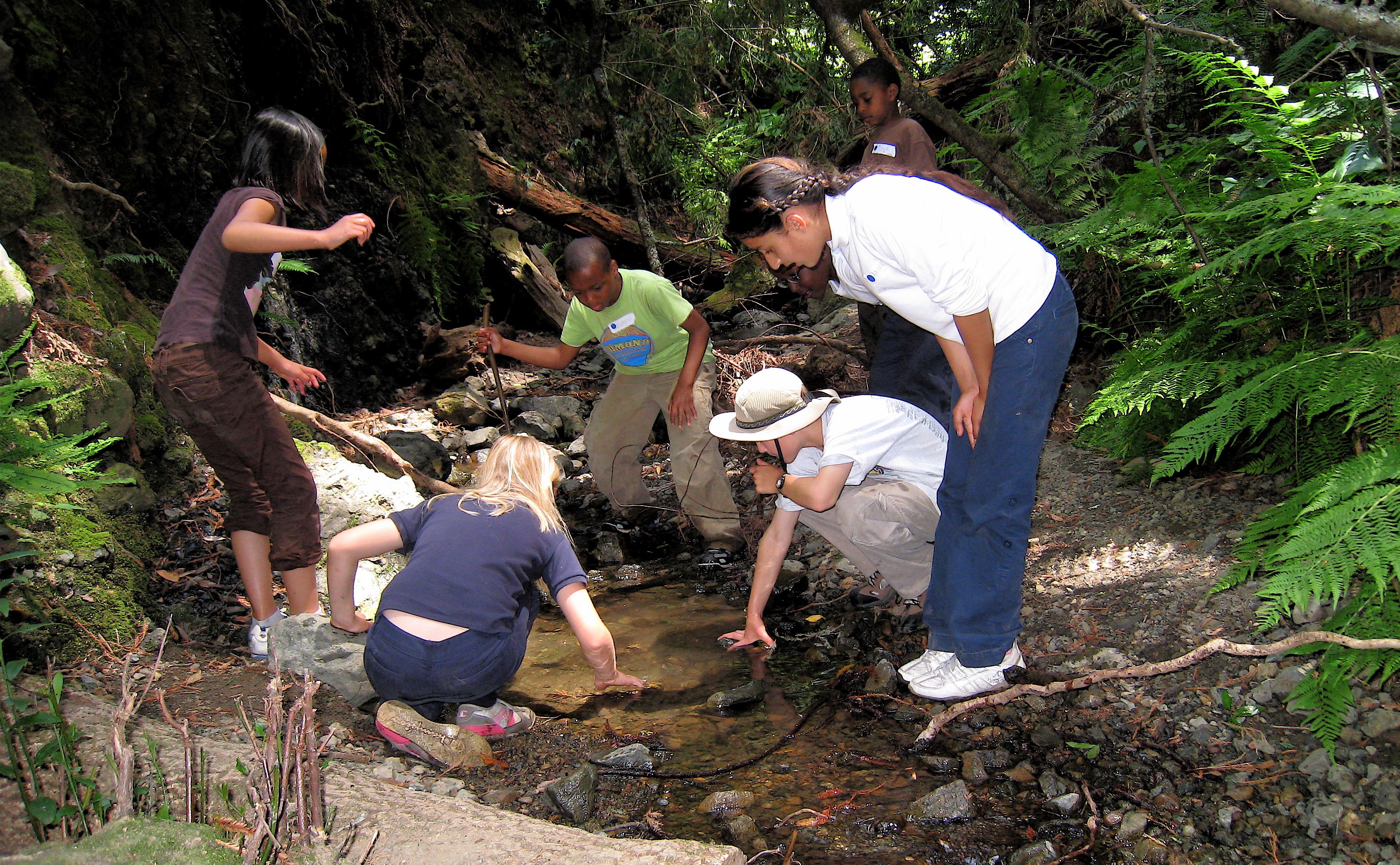 Kids wade into a creek to look at creatures in the water.