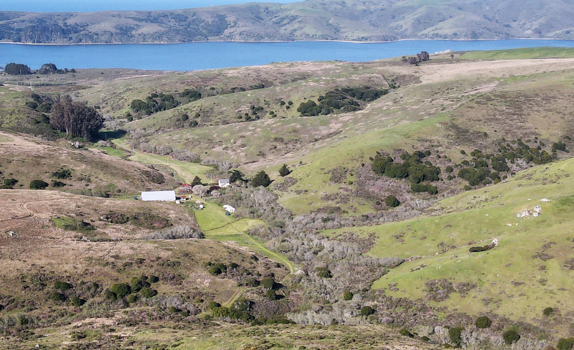 Hilltop view of a ranch with Tomales Bay in the background.