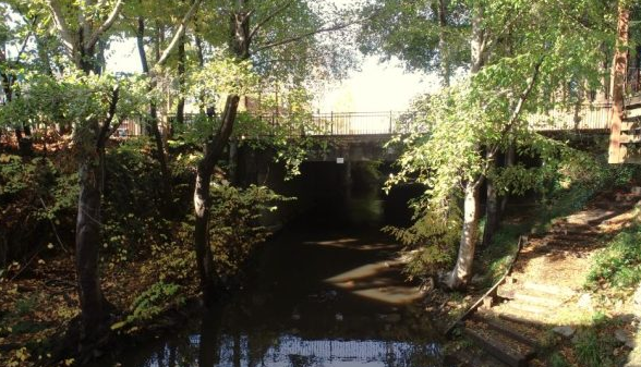 Building Bridge 2 in San Anselmo, surrounded by trees and brush.