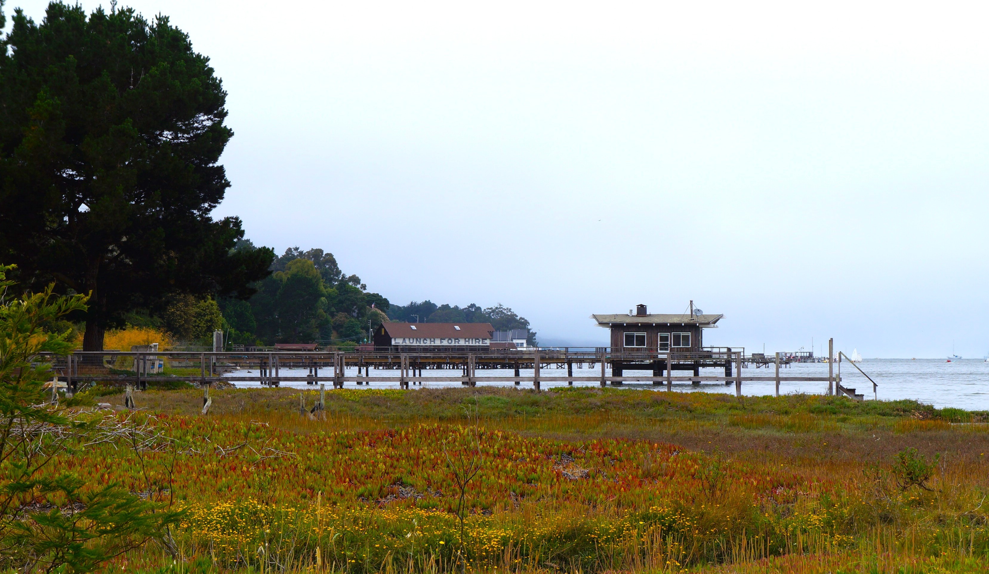 A pier in Inverness juts out into Tomales Bay