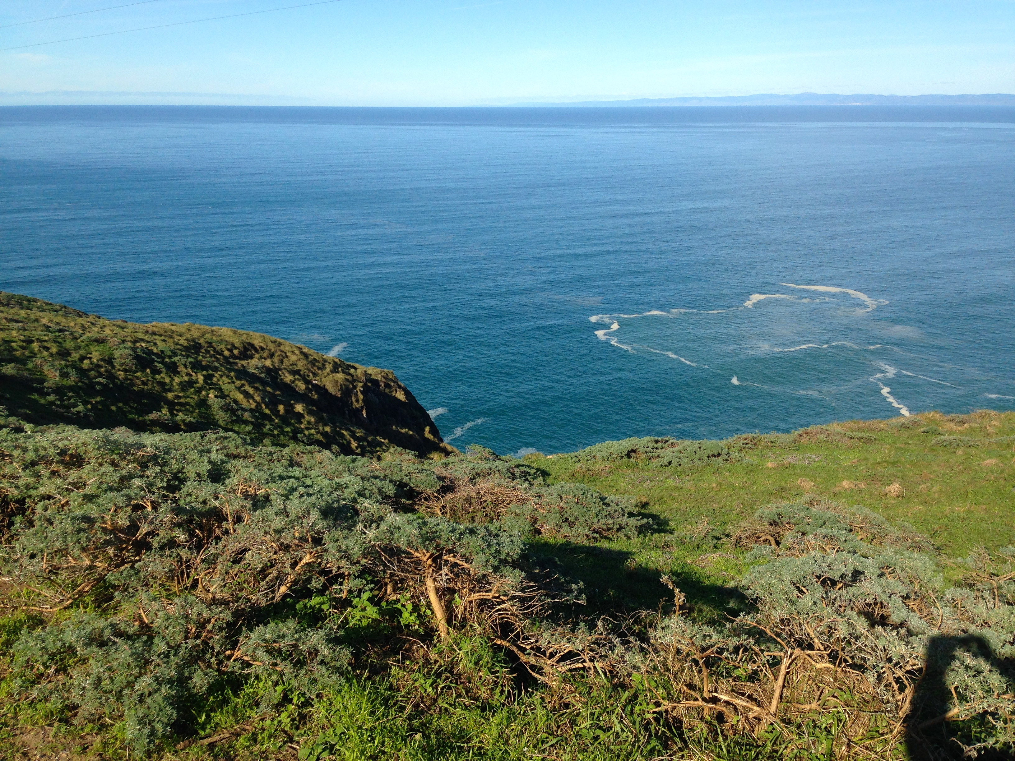 The Pacific Ocean, from the cliffs near the Point Reyes Lighthouse 