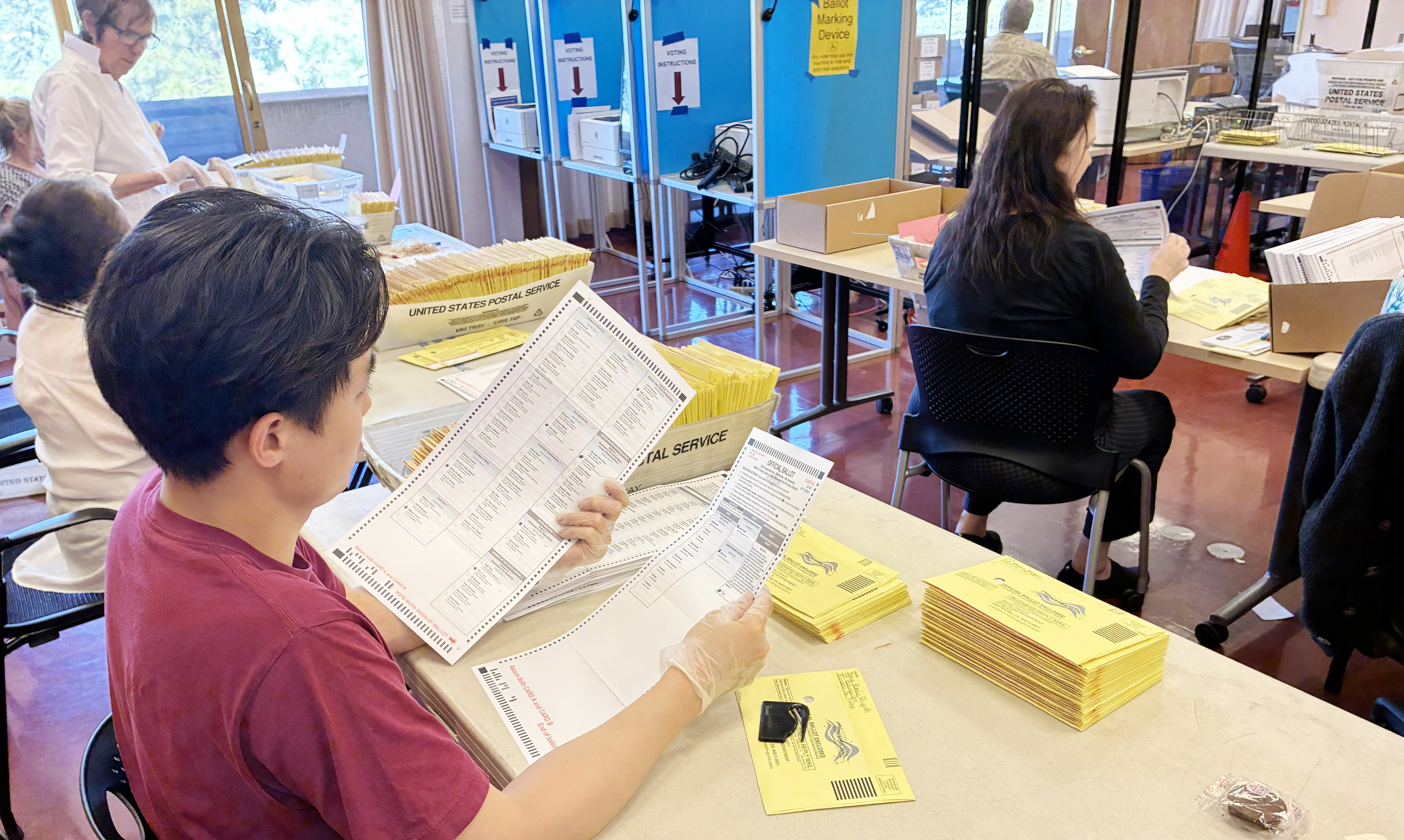 Several elections workers inspect envelopes that contain election ballots.