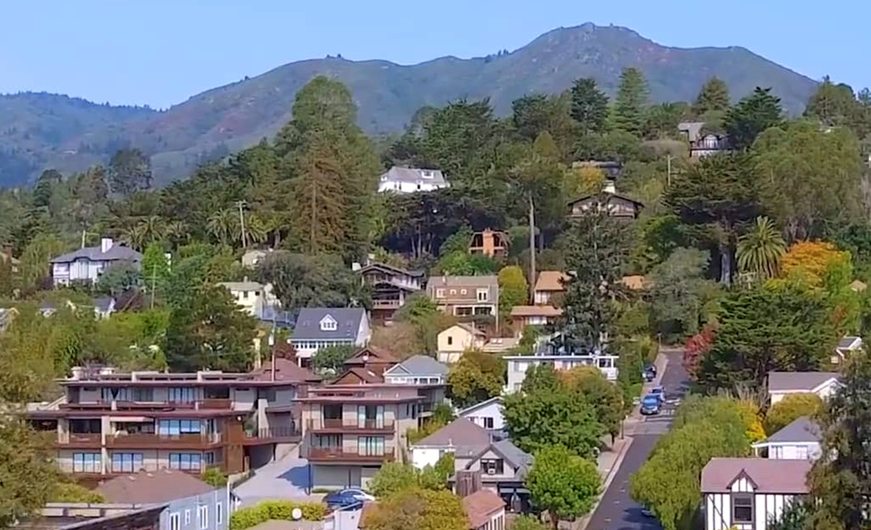Homes on a Marin County hillside with Mount Tamalpais in the background.