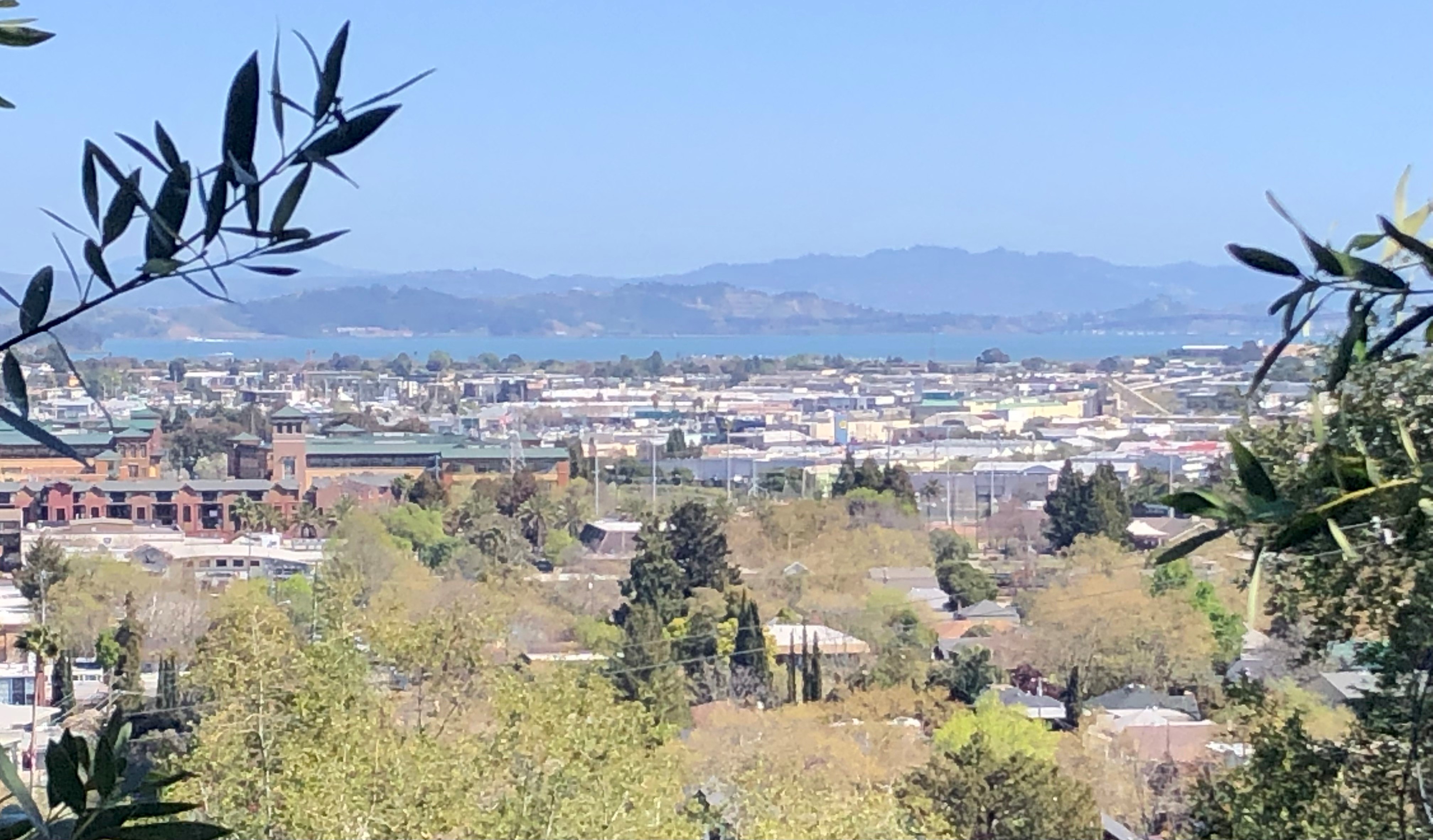 Downtown San Rafael seen from a hilltop