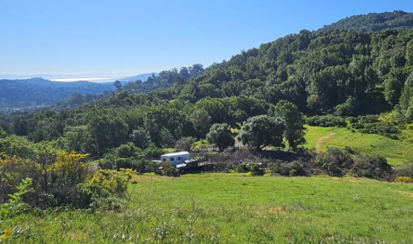 Hilltop view from Sky Ranch Knoll in the Bald Hill Open Space Preserve