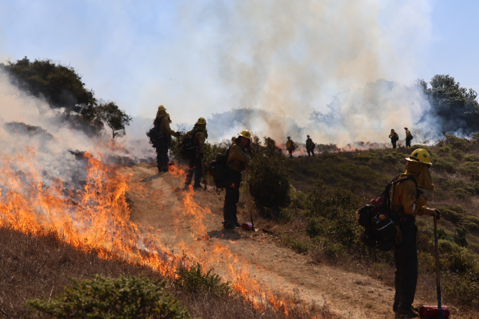 Firefighters tend to a prescribed burn on a hillside.
