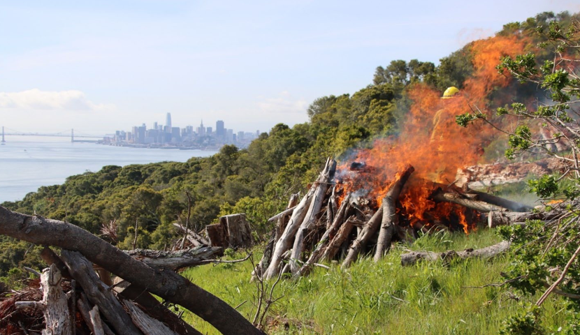 A pile of debris burns on Angel Island in 2023, with San Francisco off in the distance.