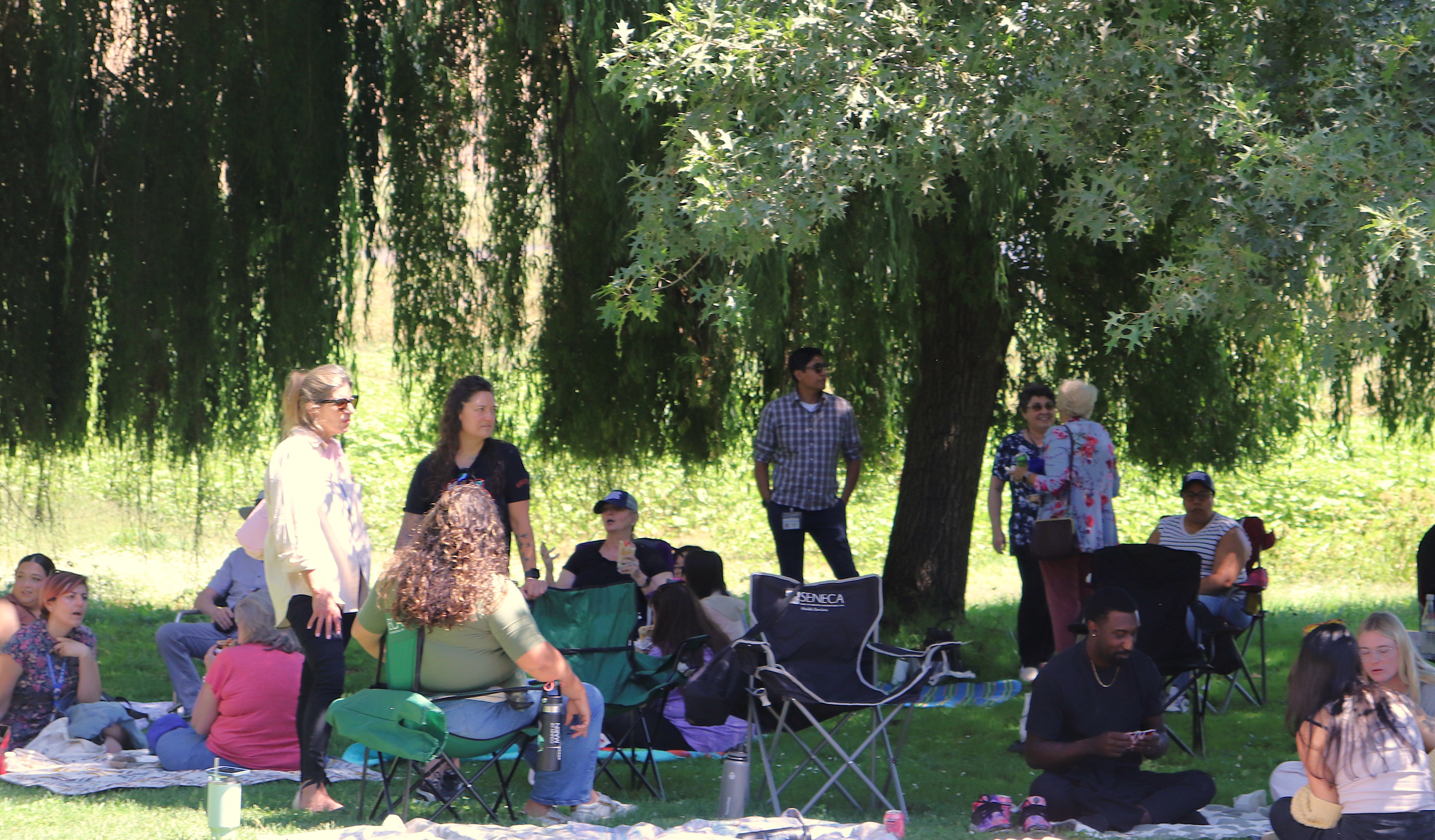 About a dozen people sit in the shade of a tree at a park.