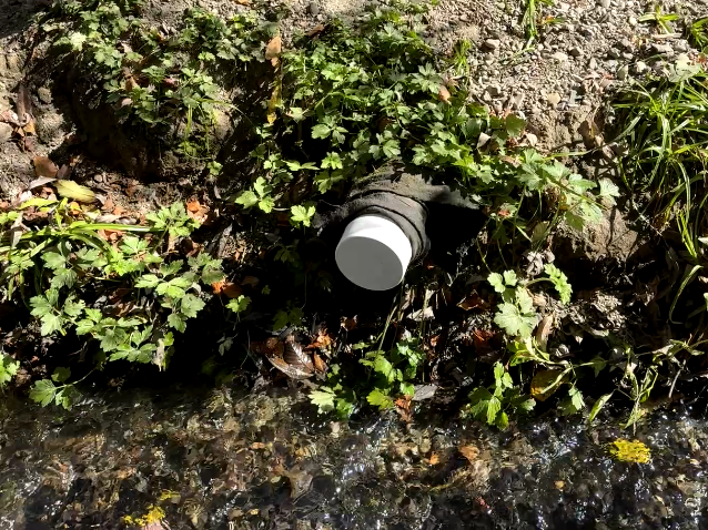 Horizontal photo of the leaking pipe that The County of Marin’s Environmental Health Services capped on Friday.