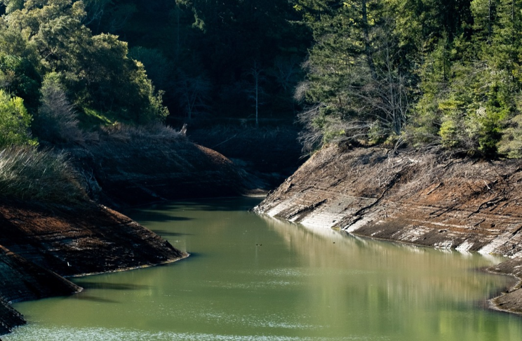 Portrait shot of Phoenix Lake
