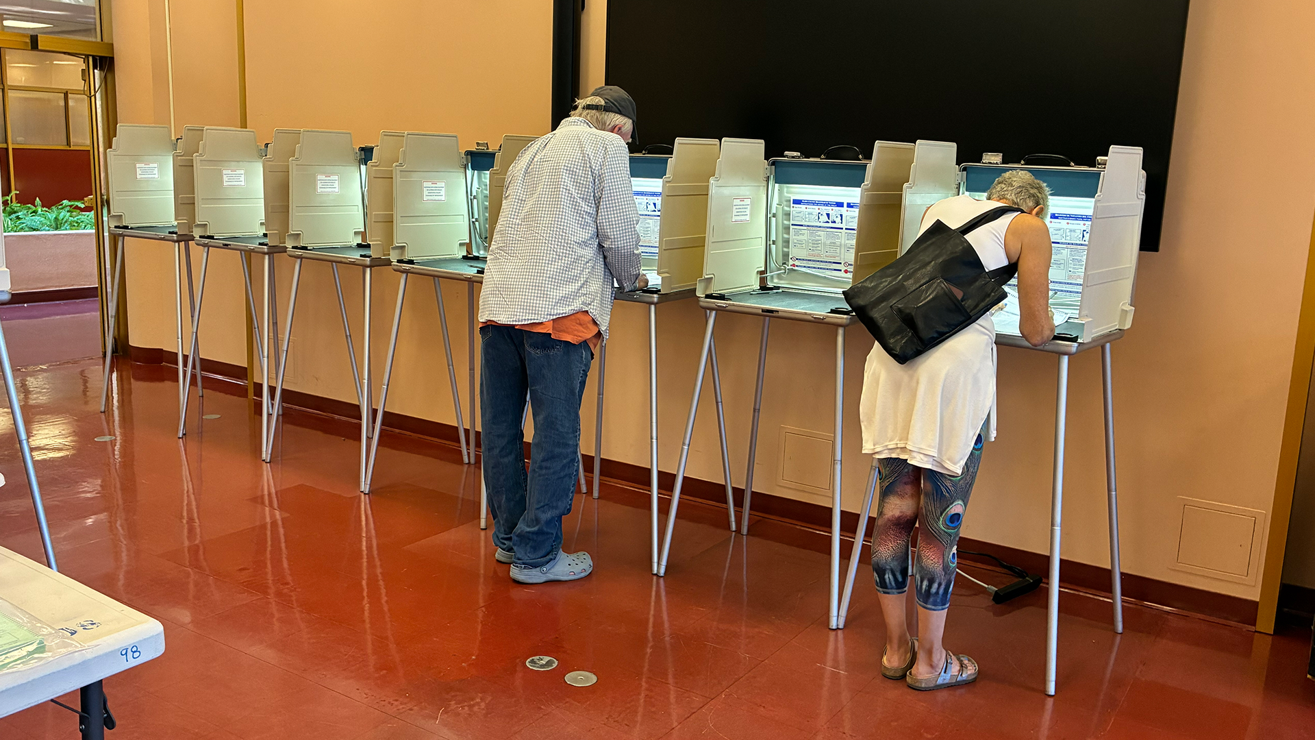 Two people casting ballots in a row of voting booths