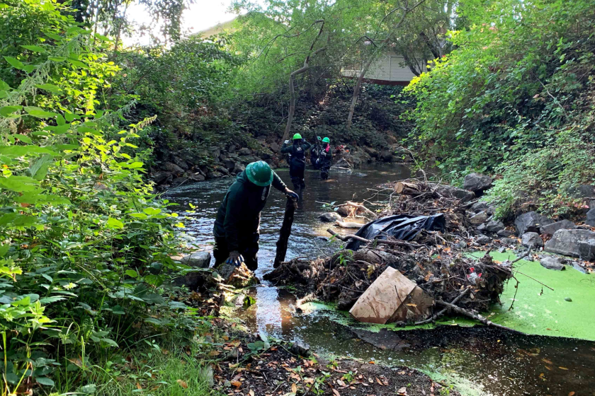 North Bay Conservation Corps Crew assist DPW staff with debris clearing in Novato Creek
