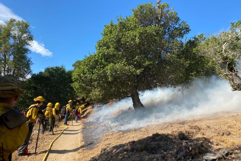 About 20 firefighters monitor a prescribed burn on Mount Tamalpais.